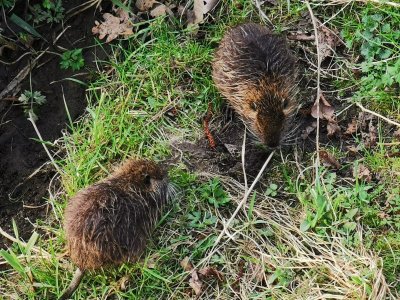 IMG-20240320-WA0002.jpg IMG-20240320-WA0002.jpg