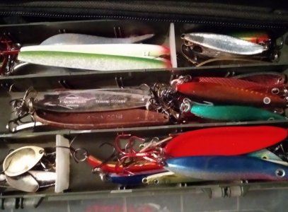 IMG_20240322_172736~2.jpg IMG_20240322_172736~2.jpg