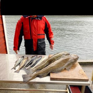 WhatsApp Bild 2024-03-21 um 18.27.21_0e92dab6.jpg