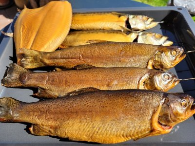 20240406_155328.jpg 20240406_155328.jpg