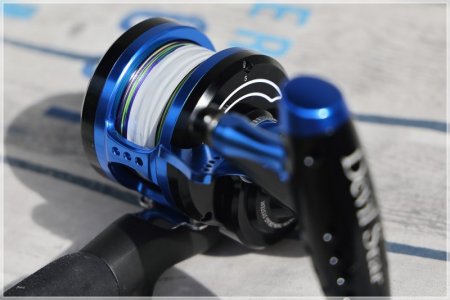 C85A2102.comp.jpg C85A2102.comp.jpg