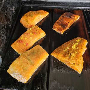 20240407_143106.jpg 20240407_143106.jpg