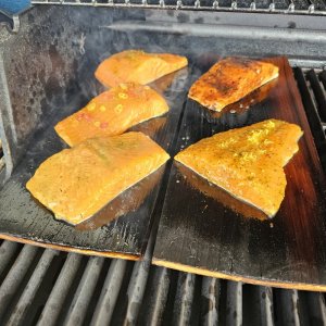 20240407_143234.jpg 20240407_143234.jpg