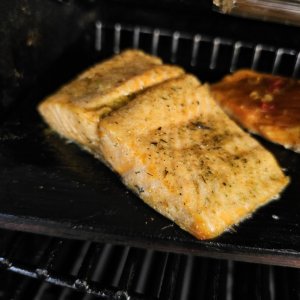 20240407_145653.jpg 20240407_145653.jpg