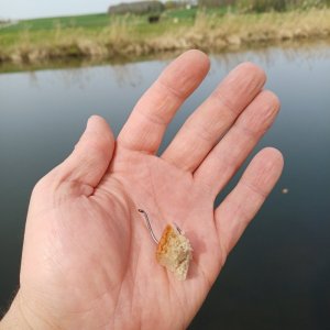 20240408_104126.jpg 20240408_104126.jpg