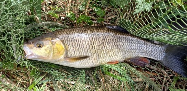 20240408_105559.jpg 20240408_105559.jpg