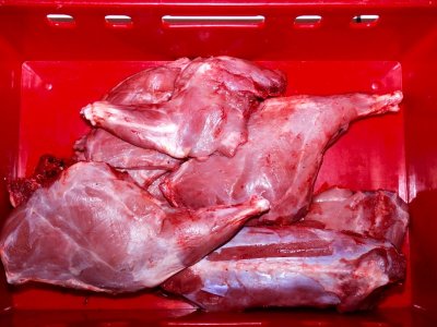 DSC05521.JPG DSC05521.JPG