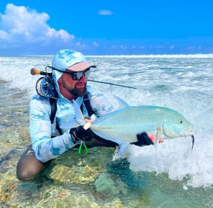 WhatsApp Image 2024-04-08 at 17.17.08.jpeg