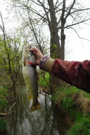 DSC01869.JPG DSC01869.JPG