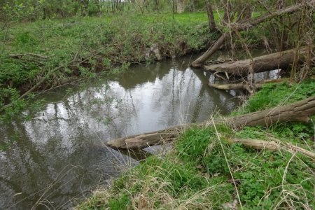 DSC01880.JPG DSC01880.JPG