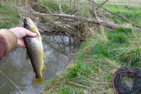 DSC01886.JPG DSC01886.JPG