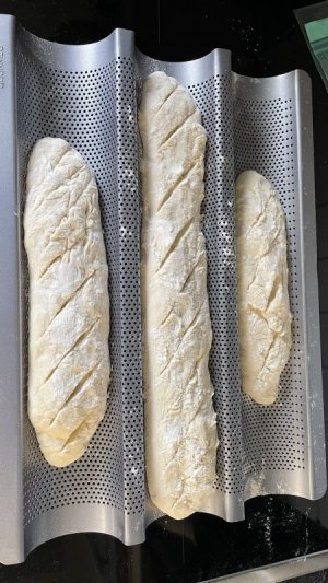 IMG_9474.jpeg IMG_9474.jpeg