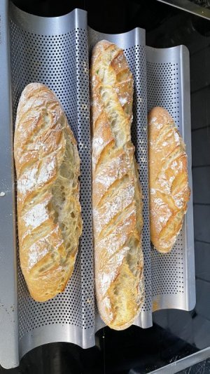 IMG_9478.jpeg IMG_9478.jpeg