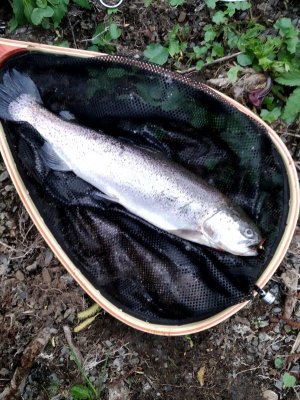 IMG_20240413_195130.jpg IMG_20240413_195130.jpg