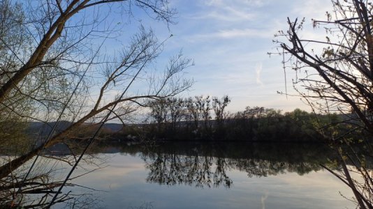 20240320_175224.jpg 20240320_175224.jpg