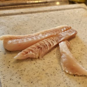 20240420_131342.jpg 20240420_131342.jpg