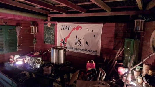 20240419_234150[1].jpg