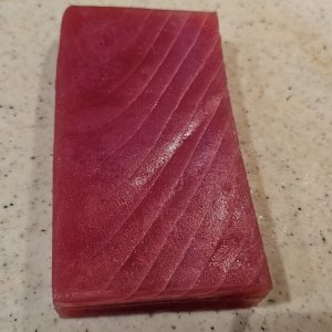 20240420_192351.jpg 20240420_192351.jpg