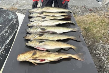 33c5c1c5-37a5-4e7e-8ae3-776d0c4640e1.jpeg 33c5c1c5-37a5-4e7e-8ae3-776d0c4640e1.jpeg