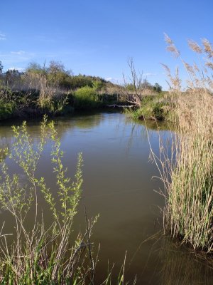 IMG_20240427_183823.jpg IMG_20240427_183823.jpg