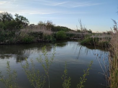 IMG_20240427_200749.jpg IMG_20240427_200749.jpg