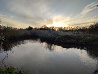 IMG_20240427_200756.jpg IMG_20240427_200756.jpg