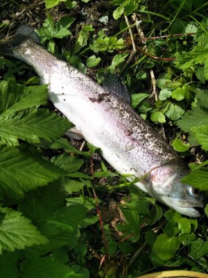 IMG_20240428_151206.jpg IMG_20240428_151206.jpg