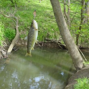 DSC01931.JPG DSC01931.JPG