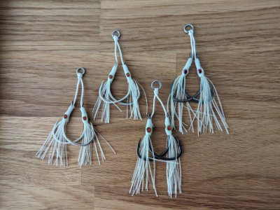 1000003511.jpg 1000003511.jpg