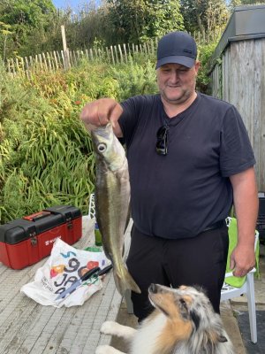 2023-08-20_18-34-37_929 conv.jpeg 2023-08-20_18-34-37_929 conv.jpeg