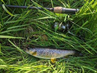 1000003624.jpg 1000003624.jpg