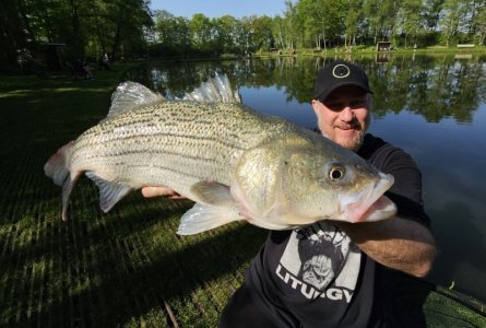 IMG-20240501-WA0069~2.jpg IMG-20240501-WA0069~2.jpg