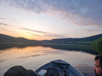 20240501_060644.jpg 20240501_060644.jpg