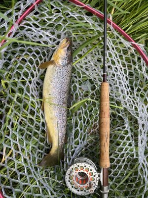 IMG_8501.JPG IMG_8501.JPG