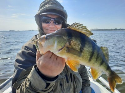 IMG-20240501-WA0011.jpg IMG-20240501-WA0011.jpg