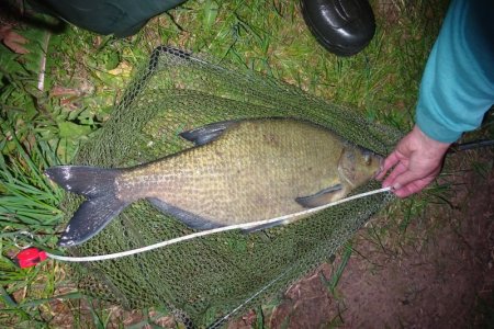 DSC01945.JPG DSC01945.JPG