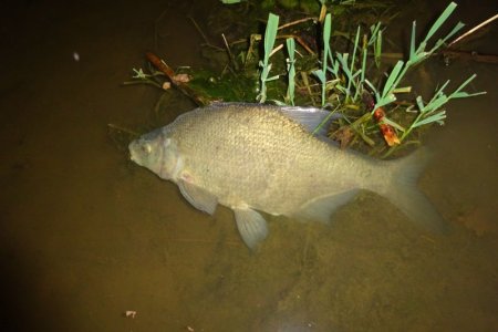 DSC01953.JPG DSC01953.JPG