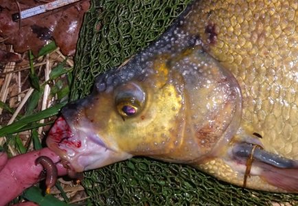 DSC01958.JPG DSC01958.JPG