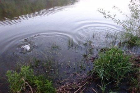 DSC02011.JPG DSC02011.JPG