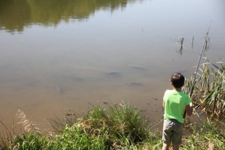 IMG_3438.JPG IMG_3438.JPG