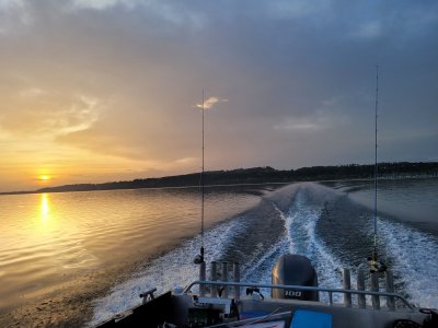 20240501_063254.jpg 20240501_063254.jpg