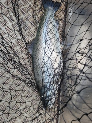 20240501_153044.jpg 20240501_153044.jpg