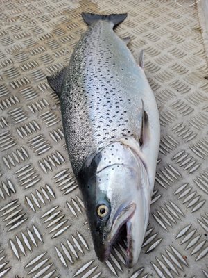 20240501_153538.jpg 20240501_153538.jpg