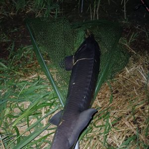 20240502_210114.jpg 20240502_210114.jpg