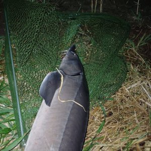 20240502_210127.jpg 20240502_210127.jpg