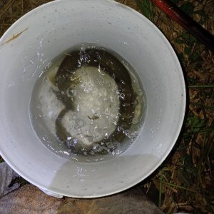 20240502_212331.jpg 20240502_212331.jpg