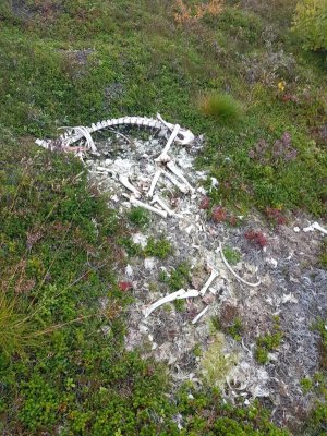 20170910_165229.jpg 20170910_165229.jpg