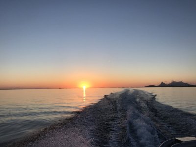 IMG_6866.jpeg IMG_6866.jpeg