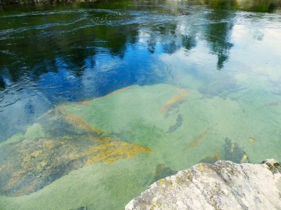 fuji-01 608.JPG fuji-01 608.JPG