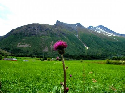 Romsdal-1 036.JPG Romsdal-1 036.JPG